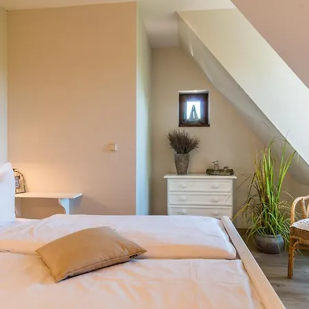 Nele Nelsson Hus, Haven Höövt